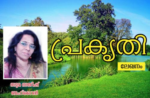 പ്രകൃതി....(ലേഖനം) പ്രകൃതി....(ലേഖനം)