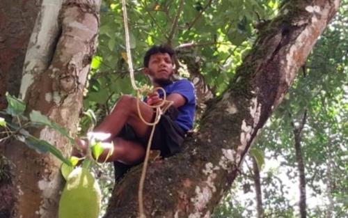 കള്ളക്കേസ് ; വനംവകുപ്പ് ഉദ്യോഗസ്ഥർക്കെതിരെ നടപടി ആവശ്യപ്പെട്ട് യുവാവിന്റെ ആത്മഹത്യ ഭീഷണി കള്ളക്കേസ് ; വനംവകുപ്പ് ഉദ്യോഗസ്ഥർക്കെതിരെ നടപടി ആവശ്യപ്പെട്ട് യുവാവിന്റെ ആത്മഹത്യ ഭീഷണി
