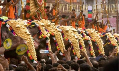 നനഞ്ഞു കുതിരേണ്ട വെടിമരുന്നും നാട്ടാനകളുടെ സ്വാതന്ത്ര്യവും നനഞ്ഞു കുതിരേണ്ട വെടിമരുന്നും നാട്ടാനകളുടെ സ്വാതന്ത്ര്യവും