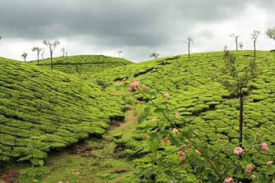 കോളറക്കാലത്തെ രാഷ്ട്രീയ പ്രണയങ്ങൾ കോളറക്കാലത്തെ രാഷ്ട്രീയ പ്രണയങ്ങൾ