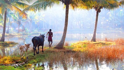 ഗ്രാമങ്ങളും കാണണം