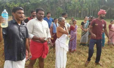 വയൽക്കിളികളും പാർട്ടി കഴുകന്മാരും വയൽക്കിളികളും പാർട്ടി കഴുകന്മാരും