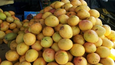 മൺസൂൺ മാംഗോസ് മൺസൂൺ മാംഗോസ്