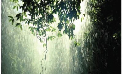 മഴനൂലുകൾ... മഴനൂലുകൾ...