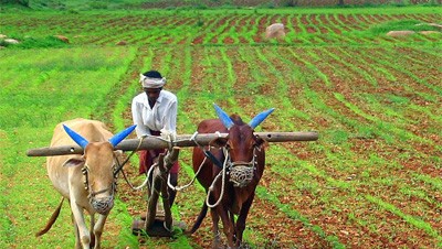കൃഷിയിലൂടെ ജീവിതം തിരിച്ചു പിടിക്കൂ കൃഷിയിലൂടെ ജീവിതം തിരിച്ചു പിടിക്കൂ
