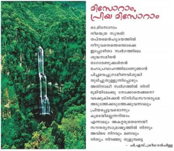 article-image