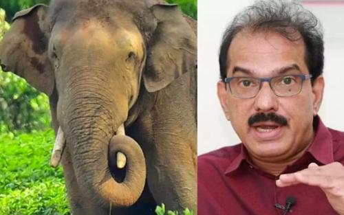 അരിക്കൊമ്പന് വേണ്ടി ഹരജി; സാബു എം. ജേക്കബിന് ഹൈകോടതിയുടെ വിമർശനം അരിക്കൊമ്പന് വേണ്ടി ഹരജി; സാബു എം. ജേക്കബിന് ഹൈകോടതിയുടെ വിമർശനം