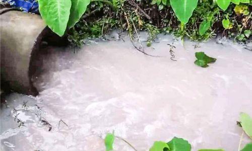 ജലാശയത്തിൽ മാലിന്യം തളളി; പ്ലൈവുഡ് കമ്പനിക്ക് 25,000 രൂപ പിഴ ചുമത്തി ചേന്നം പള്ളിപ്പുറം ഗ്രാമപഞ്ചായത്ത് ജലാശയത്തിൽ മാലിന്യം തളളി; പ്ലൈവുഡ് കമ്പനിക്ക് 25,000 രൂപ പിഴ ചുമത്തി ചേന്നം പള്ളിപ്പുറം ഗ്രാമപഞ്ചായത്ത്