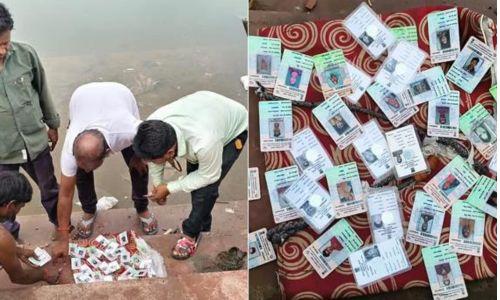 വോട്ടർ ഐഡി കാർഡുകൾ കുളത്തിൽ കണ്ടെത്തിയ സംഭവം; അന്വേഷണം ആരംഭിച്ചു