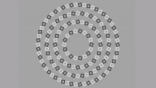 ഈ ചിത്രത്തില്‍ എത്ര വൃത്തങ്ങളുണ്ട്; ഉത്തരം കണ്ടെത്തേണ്ടത് 10 സെക്കന്‍ഡിനുള്ളില്‍ – optical illusion