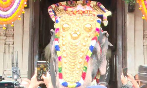 തെക്കേഗോപുര വാതിൽ തുറന്ന് എറണാകുളം ശിവകുമാർ, പൂരത്തിന് വിളംബരമായി തെക്കേഗോപുര വാതിൽ തുറന്ന് എറണാകുളം ശിവകുമാർ, പൂരത്തിന് വിളംബരമായി