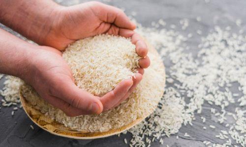ഭാരത് അരിയെ വെല്ലാന് ‘ശബരി കെ റൈസ്’; പ്രഖ്യാപനം ഉടൻ ഭാരത് അരിയെ വെല്ലാന് ‘ശബരി കെ റൈസ്’; പ്രഖ്യാപനം ഉടൻ