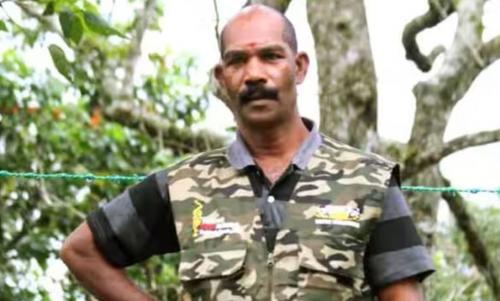 കാട്ടാന ആക്രമണത്തിൽ വനം വകുപ്പ് വാച്ചർ കൊല്ലപ്പെട്ടു കാട്ടാന ആക്രമണത്തിൽ വനം വകുപ്പ് വാച്ചർ കൊല്ലപ്പെട്ടു