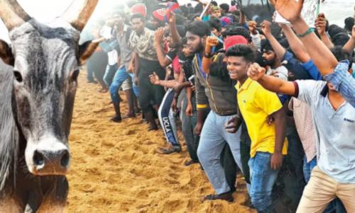 ജെല്ലിക്കെട്ടിനിടെ കർണാടക− തമിഴ്നാട് അതിർത്തിയിൽ അക്രമം; കേരളത്തിൽ നിന്ന് പോയ വാഹനങ്ങൾക്ക് നേരെയും ആക്രമണം ജെല്ലിക്കെട്ടിനിടെ കർണാടക− തമിഴ്നാട് അതിർത്തിയിൽ അക്രമം; കേരളത്തിൽ നിന്ന് പോയ വാഹനങ്ങൾക്ക് നേരെയും ആക്രമണം