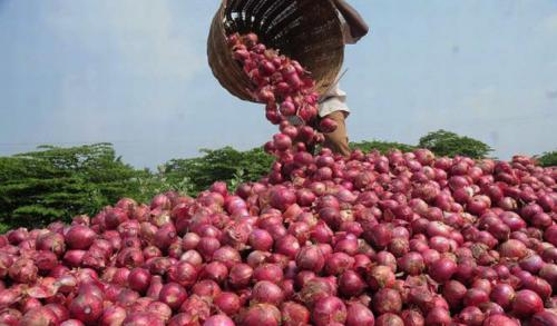 കിലോയ്ക്ക് 50 പൈസയായി; ഉള്ളിയും വെളുത്തുള്ളിയും വഴിയിലുപേക്ഷിച്ചും നദിയിലൊഴുക്കിയും മധ്യപ്രദേശിലെ കര്‍ഷകര്‍