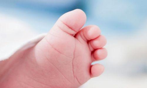 തിരുവല്ലയിലെ നവജാത ശിശുവിന്റെ മരണം ക്രൂര കൊലപാതകം; അമ്മ അറസ്റ്റില് തിരുവല്ലയിലെ നവജാത ശിശുവിന്റെ മരണം ക്രൂര കൊലപാതകം; അമ്മ അറസ്റ്റില്