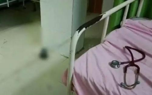 പ്രതിയുടെ കുത്തേറ്റ് ഡോക്ടര്‍ മരിച്ച സംഭവം: സംസ്ഥാന വ്യാപക പ്രതിഷേധം നടത്തുമെന്ന് ഐഎംഎ