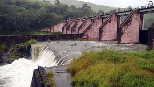 മുല്ലപ്പെരിയാർ മരംമുറിക്കൽ: അഞ്ച് മാസം മുൻപേ നീക്കം തുടങ്ങിയെന്ന് ഇ−ഫയൽ