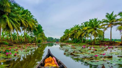 കേരളം വിനോദസഞ്ചാര ഭൂപടത്തിൽ ചരിത്രനേട്ടത്തിലേക്ക്; 2025-ൽ എത്തിയത് 2.58 കോടി സഞ്ചാരികൾ