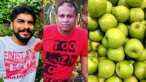 ഗ്രീൻ ആപ്പിൾ കൊണ്ടുവരുന്ന കണ്ടെയ്നറിൽ 520 കോടി രൂപയുടെ ലഹരി വസ്തുക്കൾ ഗ്രീൻ ആപ്പിൾ കൊണ്ടുവരുന്ന കണ്ടെയ്നറിൽ 520 കോടി രൂപയുടെ ലഹരി വസ്തുക്കൾ