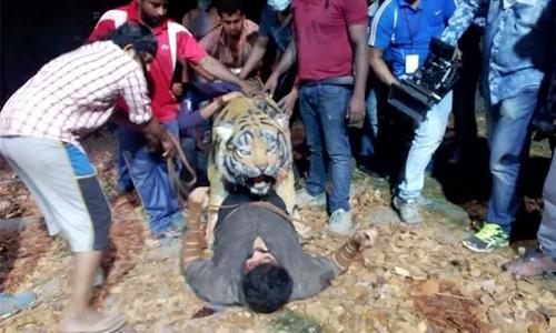 പുലിയുടെ ‘ഡ്യൂപ്പ്’ : പ്രചരണത്തിനു മറുപടിയുമായി സംവിധായകൻ