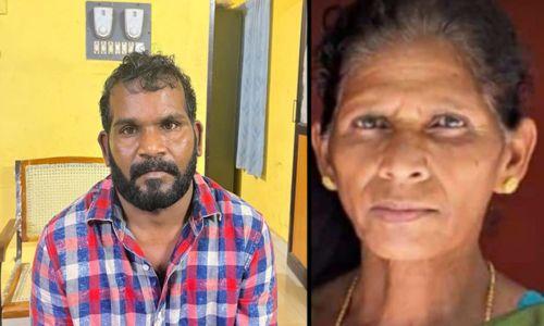 വയനാട്ടിലെ വയോധികയുടെ മരണം കൊലപാതകം; മകളുടെ ഭര്‍ത്താവ് അറസ്റ്റില്‍