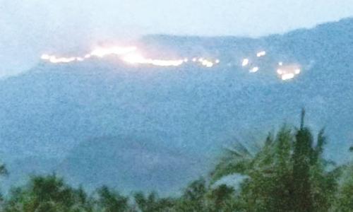 കാ­ട്ടു­തീ ­: സൈ­ലന്റ് വാ­ലി­ ബഫർ‍­സോൺ മലകളിൽ‍ വൻ‍നാ­ശം