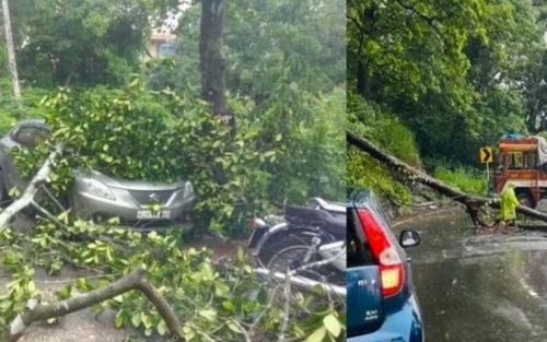 പെരുമഴ; സംസ്ഥാനത്ത് കനത്ത നാശനഷ്ടങ്ങള്‍