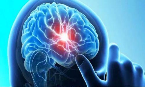 മലപ്പുറത്ത് അമീബിക് മസ്തിഷ്ക ജ്വരം; 10 വയസുകാരൻ ആശുപത്രിയിൽ മലപ്പുറത്ത് അമീബിക് മസ്തിഷ്ക ജ്വരം; 10 വയസുകാരൻ ആശുപത്രിയിൽ