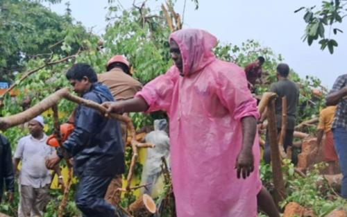 ആലുവയില്‍ ആല്‍മരം ഒടിഞ്ഞു വീണ് എട്ടുവയസുകാരന്‍ മരിച്ചു