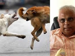 തെരുവുനായ ആക്രമണം; നഷ്ടപരിഹാര സമിതിക്കു ഫണ്ട് നൽകാതെ സർക്കാർ; ഒന്നര ലക്ഷം കയ്യിൽ നിന്ന് ചെലവാക്കി ജസ്റ്റീസ് സിരിജഗൻ തെരുവുനായ ആക്രമണം; നഷ്ടപരിഹാര സമിതിക്കു ഫണ്ട് നൽകാതെ സർക്കാർ; ഒന്നര ലക്ഷം കയ്യിൽ നിന്ന് ചെലവാക്കി ജസ്റ്റീസ് സിരിജഗൻ