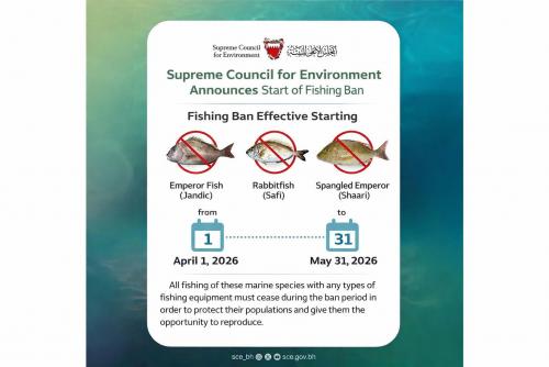 ബഹ്‌റൈനിൽ ഷേരി, സാഫി, ആന്താഖ് മത്സ്യബന്ധന നിരോധനം ബുധനാഴ്ച മുതൽ; ലംഘിക്കുന്നവർക്കെതിരെ കർശന നടപടി