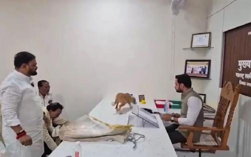 തെരുവുനായ ശല്യത്തിനെതിരെ വേറിട്ട പ്രതിഷേധം; പഞ്ചായത്ത് ഓഫീസറുടെ മേശപ്പുറത്തേക്ക് നായകളെ തുറന്നുവിട്ടു