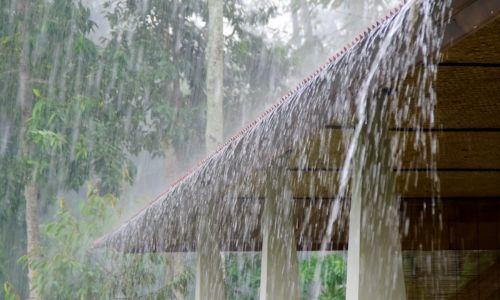 ന്യൂനമർദം: ഇന്നും ശക്തമായ മഴയ്ക്ക് സാധ്യത; ഒമ്പതു ജില്ലകളിൽ യെല്ലോ അലർട്ട് ന്യൂനമർദം: ഇന്നും ശക്തമായ മഴയ്ക്ക് സാധ്യത; ഒമ്പതു ജില്ലകളിൽ യെല്ലോ അലർട്ട്