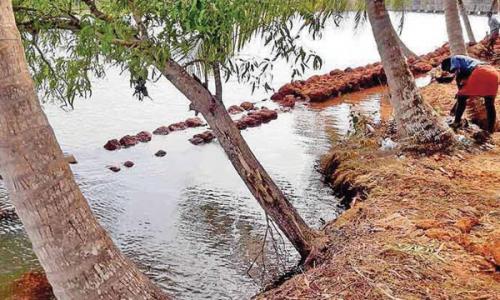 കവ്വാ­യി­ കാ­യലിൽ കയ്യേ­റ്റം വ്യാ­പകം : കണ്ണടച്ച് അധി­കൃ­തർ