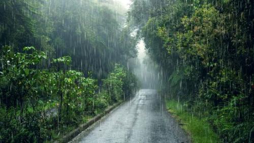 സംസ്ഥാനത്ത് മഴ തുടരും; ഇടിമിന്നലിനും ശക്തമായ കാറ്റിനും സാധ്യത