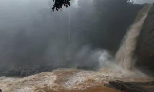 ജനകീയ തിരച്ചിൽ ; സൂചിപ്പാറ-കാന്തന്പാറ ഭാഗത്ത് നിന്ന് നാല് മൃതദേഹങ്ങള് കണ്ടെത്തി ജനകീയ തിരച്ചിൽ ; സൂചിപ്പാറ-കാന്തന്പാറ ഭാഗത്ത് നിന്ന് നാല് മൃതദേഹങ്ങള് കണ്ടെത്തി