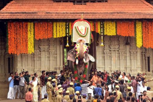 തൃശൂർ പൂരം ചടങ്ങുകൾ മാത്രമായി നടത്തും; പൂരപ്പറന്പിൽ പൊതുജനങ്ങള്‍ക്ക് പ്രവേശനമില്ല
