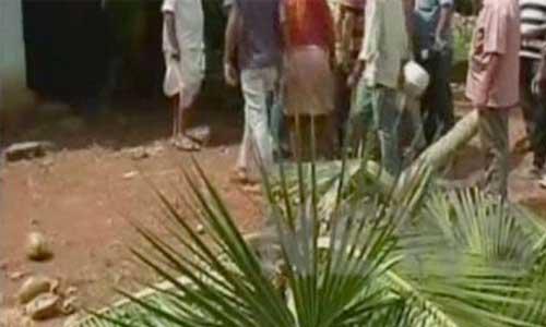 തെങ്ങ് കടപുഴകി വീണ് തൊഴിലുറപ്പ് സ്ത്രീകള് മരിച്ചു തെങ്ങ് കടപുഴകി വീണ് തൊഴിലുറപ്പ് സ്ത്രീകള് മരിച്ചു