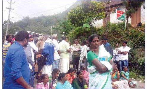 ചി­ന്നക്കനാ­ലിൽ‍ കാ­ട്ടാ­നയാ­ക്രമണം രൂ­ക്ഷം ; വീ­ട്ടമ്മയ്ക്ക് ഗു­രു­തര പരി­ക്ക്