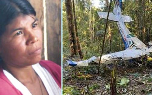 ആമസോൺ വനത്തിലെ വിമാനാപകടം: പരിക്കേറ്റ അമ്മ നാലു ദിവസം ജീവിച്ചിരുന്നതായി കുട്ടികൾ