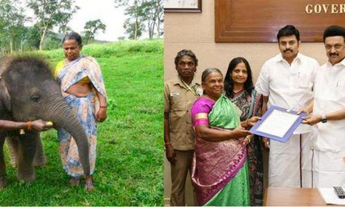 തമിഴ്നാട്ടിലെ ആദ്യ വനിതാ പാപ്പാനായി ബെല്ലി; നേട്ടം ഓസ്‌കാറിന് പിന്നാലെ