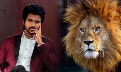 നടൻ ശിവകാർത്തികേയൻ ദത്തെടുത്ത സിംഹത്തെ കാണാതായി‌; ചെന്നൈ നഗരത്തിൽ വ്യാപക തിരച്ചിൽ