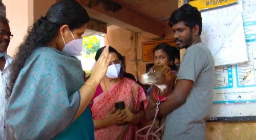 തിരുവനന്തപുരത്ത് വളർത്തു നായ്ക്കൾക്ക് വാക്സിനേഷൻ നൽകുന്നതിനുള്ള ക്യാമ്പ് ആരംഭിച്ചു തിരുവനന്തപുരത്ത് വളർത്തു നായ്ക്കൾക്ക് വാക്സിനേഷൻ നൽകുന്നതിനുള്ള ക്യാമ്പ് ആരംഭിച്ചു