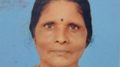 ആലപ്പുഴയിൽ പാമ്പുകടിയേറ്റ് വീട്ടമ്മ മരിച്ചു; ശുചിമുറിക്ക് മുന്നിൽ വെച്ചാണ് ആക്രമണം ഉണ്ടായത്