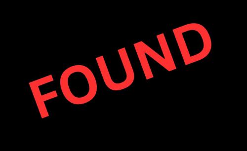 അദ്ലിയയിൽനിന്ന് കാണാതായ 12 വയസ്സുകാരനെ കണ്ടെത്തി