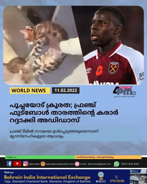 പൂച്ചയോട് ക്രൂരത; ഫ്രഞ്ച് ഫുട്ബോൾ താരത്തിന്റെ കരാർ റദ്ദാക്കി അഡിഡാസ് 