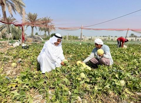 ആഗോള ഭൂപടത്തിൽ ബഹ്‌റൈനിലെ നാല് ഗ്രാമങ്ങൾ; റോമിൽ നടന്ന യു.എൻ സമ്മേളനത്തിൽ ആദരം