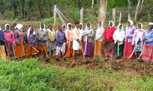 തൊഴിലുറപ്പ് സോഷ്യല് ഓഡിറ്റില് കേരളം വീണ്ടും ഒന്നാമത് തൊഴിലുറപ്പ് സോഷ്യല് ഓഡിറ്റില് കേരളം വീണ്ടും ഒന്നാമത്