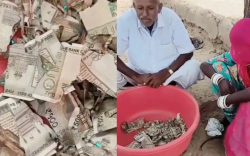 പണം പൂഴ്ത്തിവെച്ച കർഷകന് കിട്ടിയത് പണി; 5 ലക്ഷം രൂപ കുഴിച്ചിട്ടത് മറന്നു, ഒടുവിൽ കിട്ടിയത് ചിതലരിച്ച നോട്ടുകൾ!